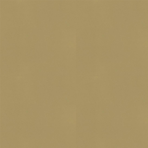 F-BrisaDistressed-Buckskin