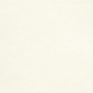 F-UltraleatherPro-Swan