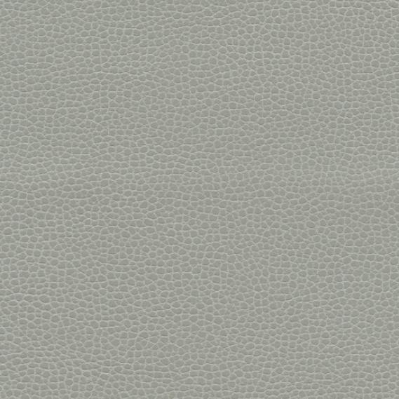 F_Ultraleather_Promessa_Ash