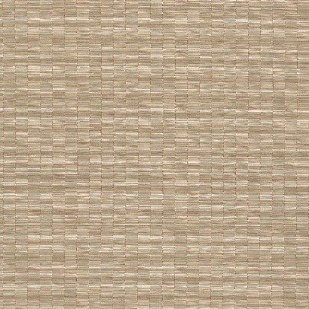 Frequency2.0 - Gingersnap-min