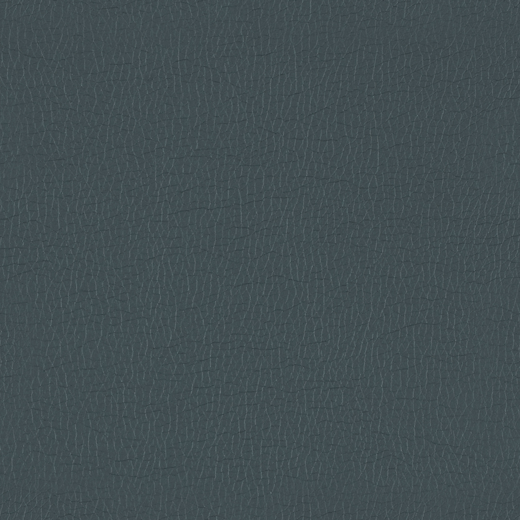 GradeB_Momentum_Canter EPU_Ballad