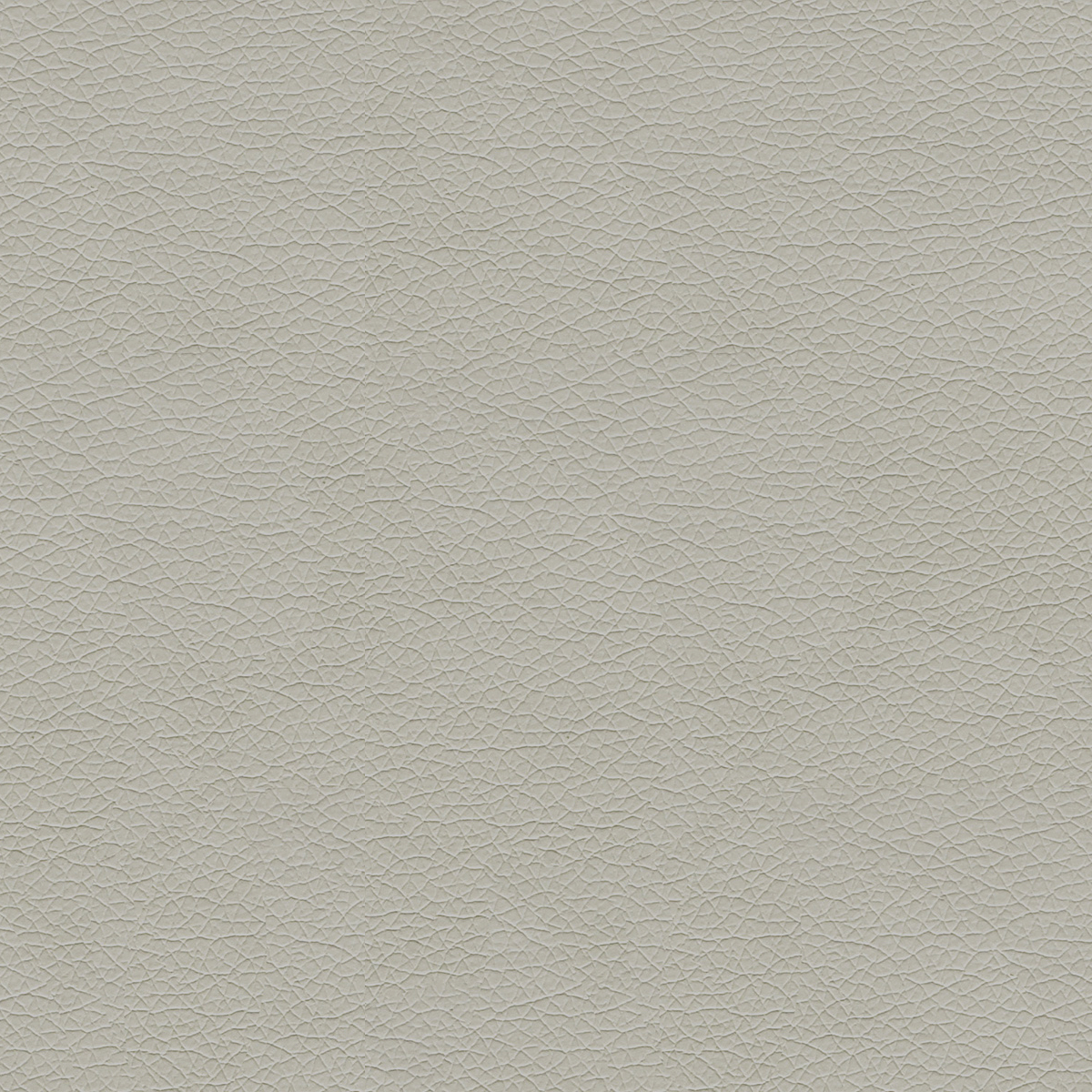 GradeB_Momentum_Canter EPU_Folkstone Grey