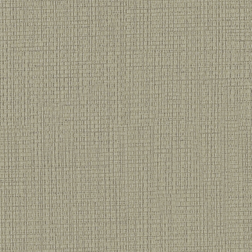 GradeC_Momentum_Beeline EPU_Fossile