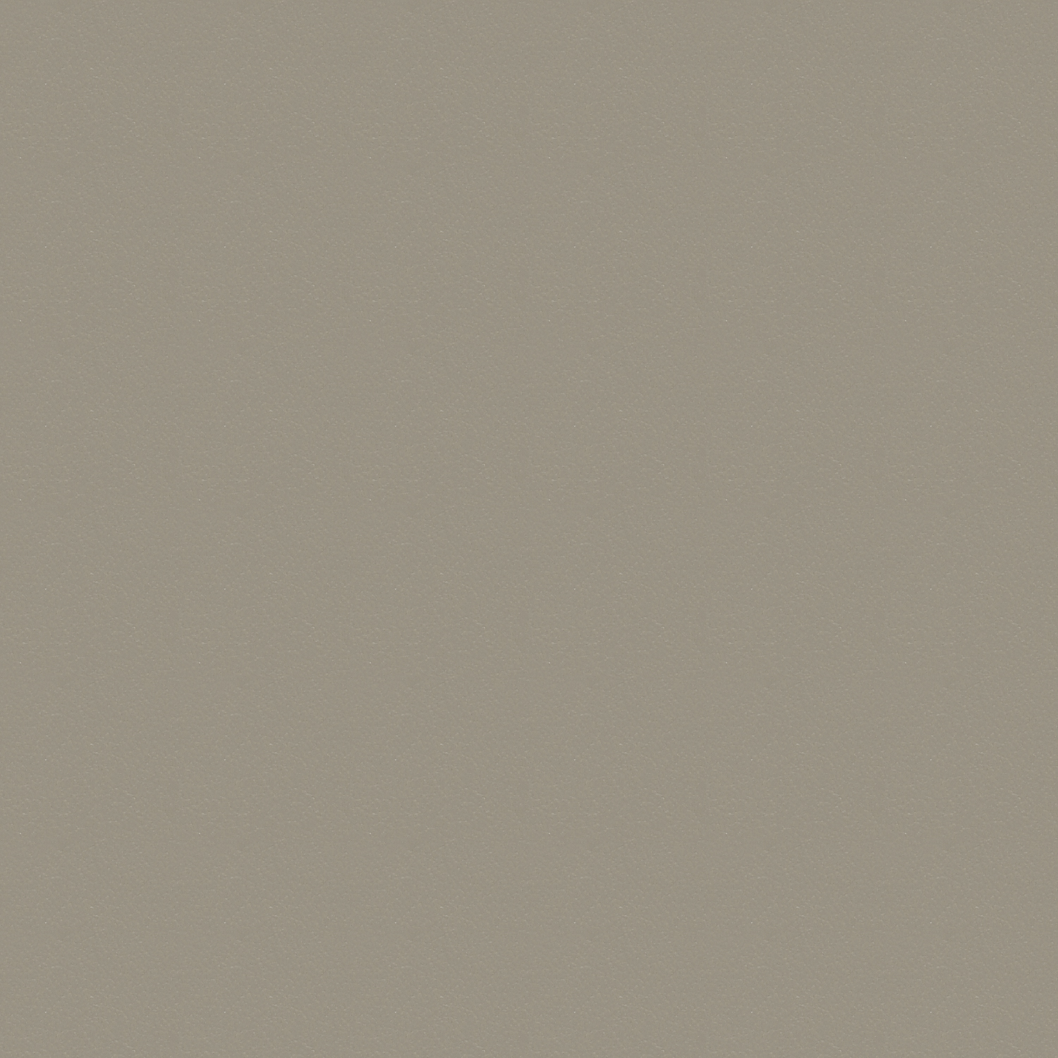 GradeE_Momentum_Endurance EPU_Gull