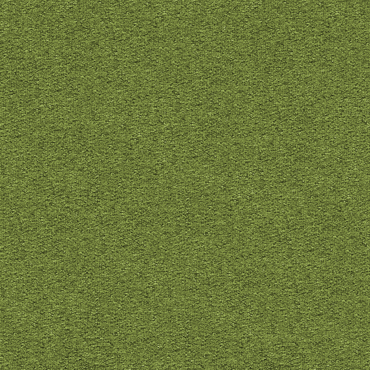 GradeE_Momentum_Faux Felt_Sprout