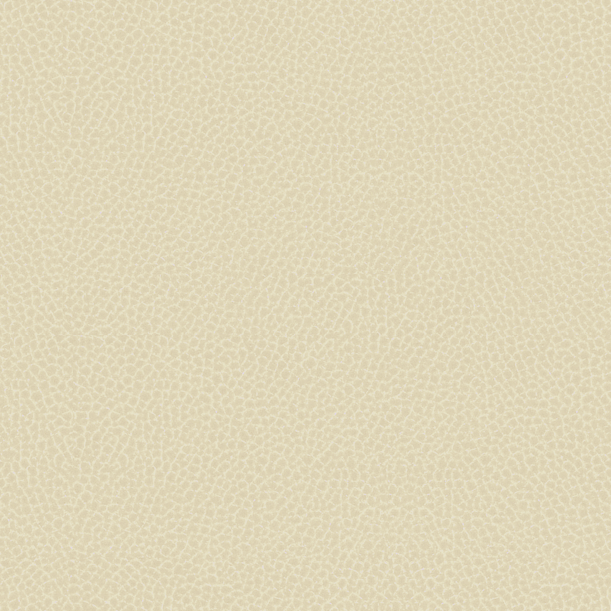 GradeG_Momentum_Silica Leather_Almond