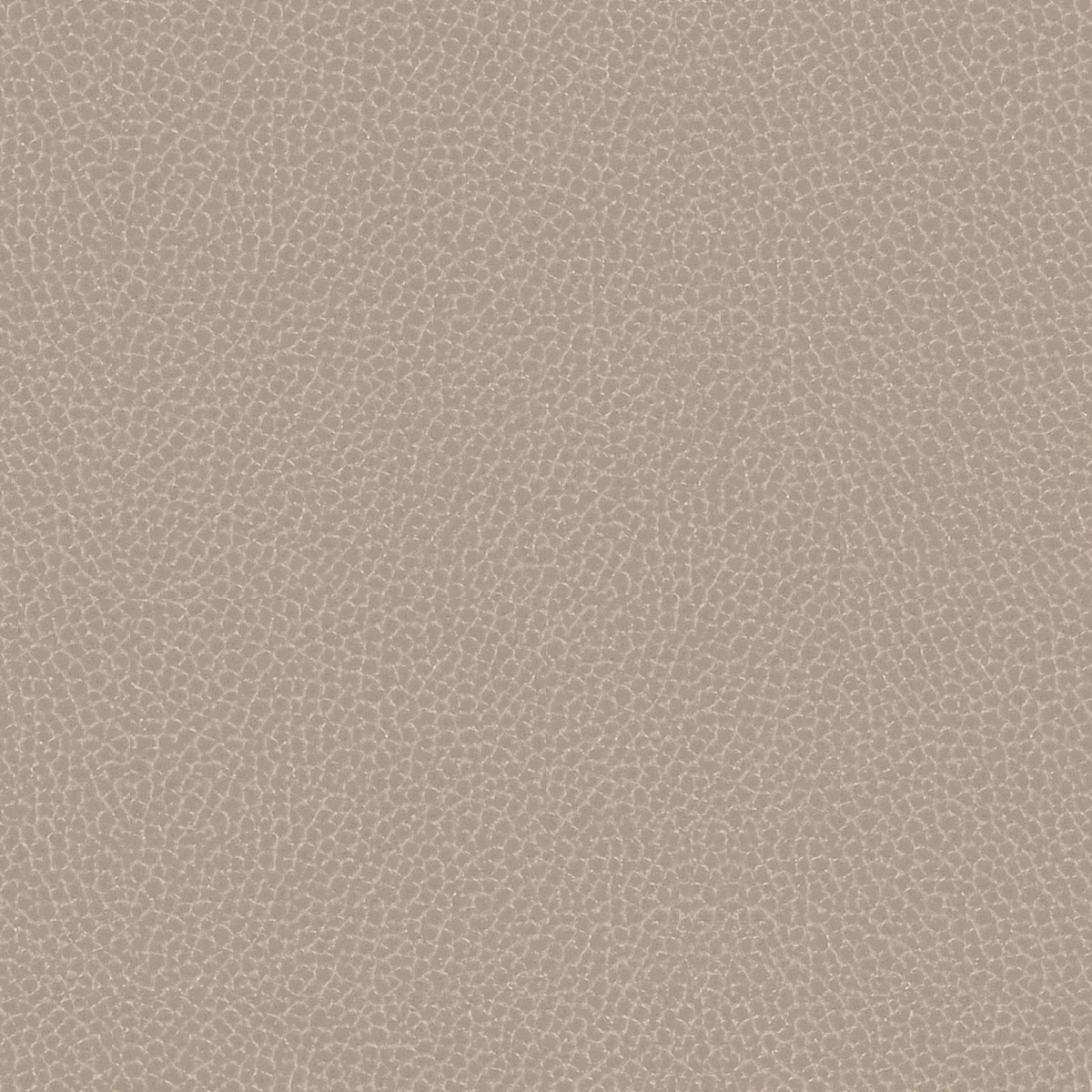 GradeG_Momentum_Silica Leather_Dove