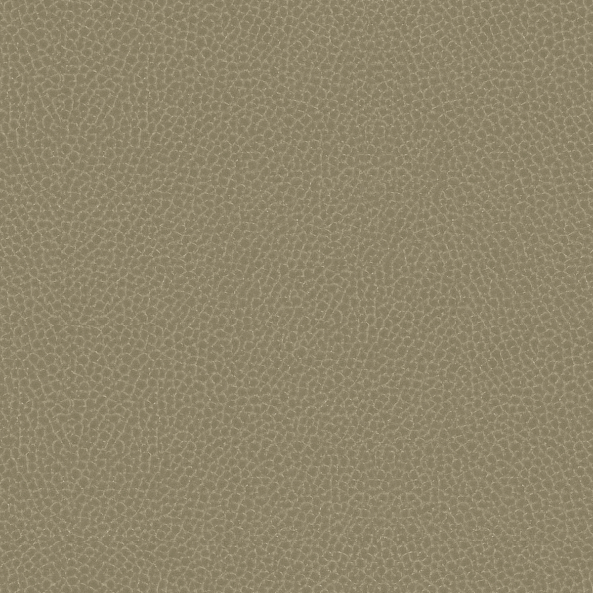 GradeG_Momentum_Silica Leather_Lichen