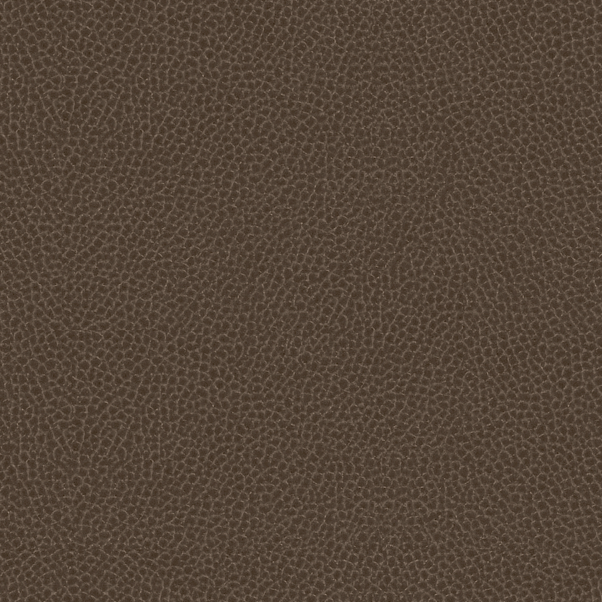 GradeG_Momentum_Silica Leather_Mink