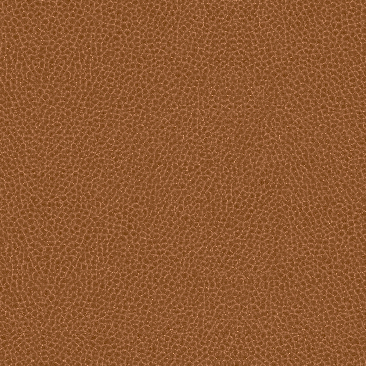 GradeG_Momentum_Silica Leather_Saddle