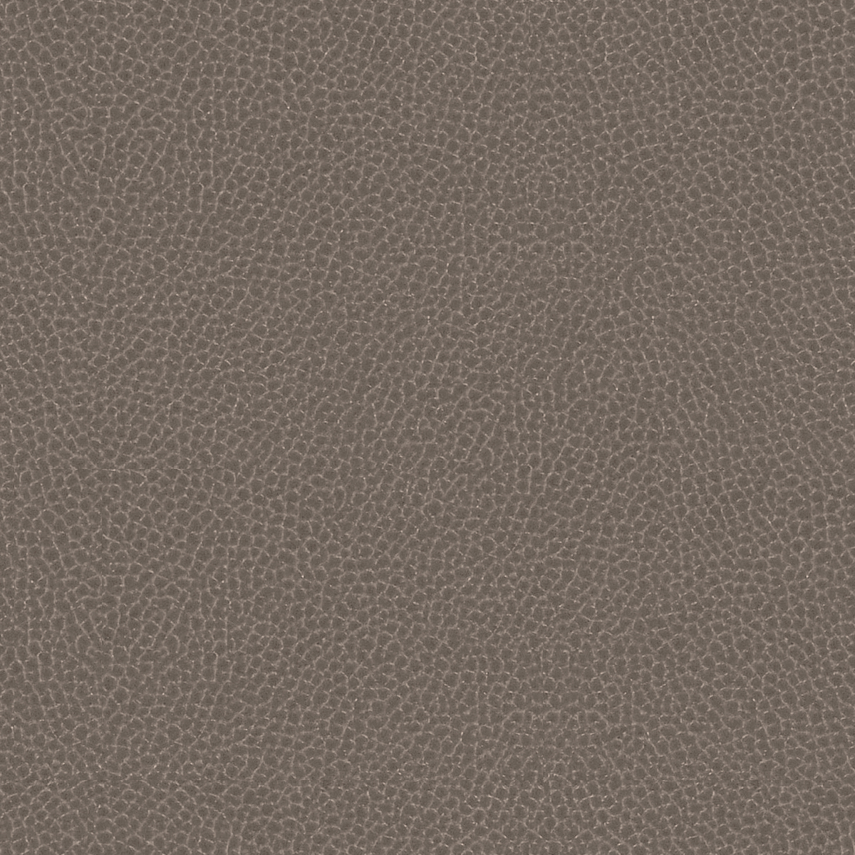 GradeG_Momentum_Silica Leather_Shadow