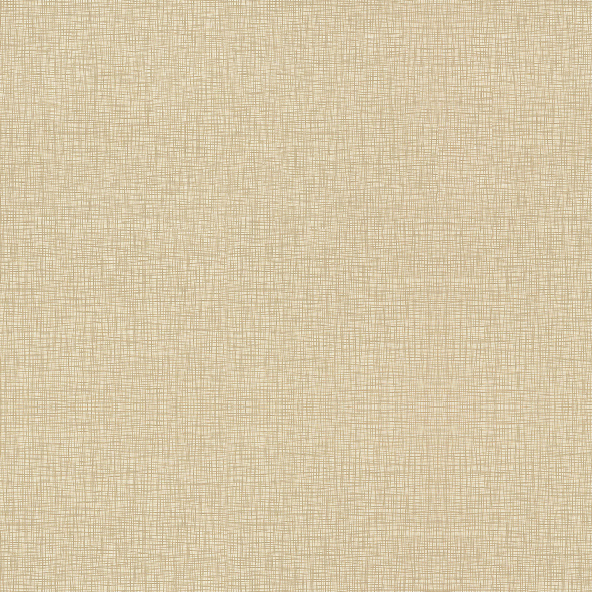 GradeG_Momentum_Silica Stride_Ecru