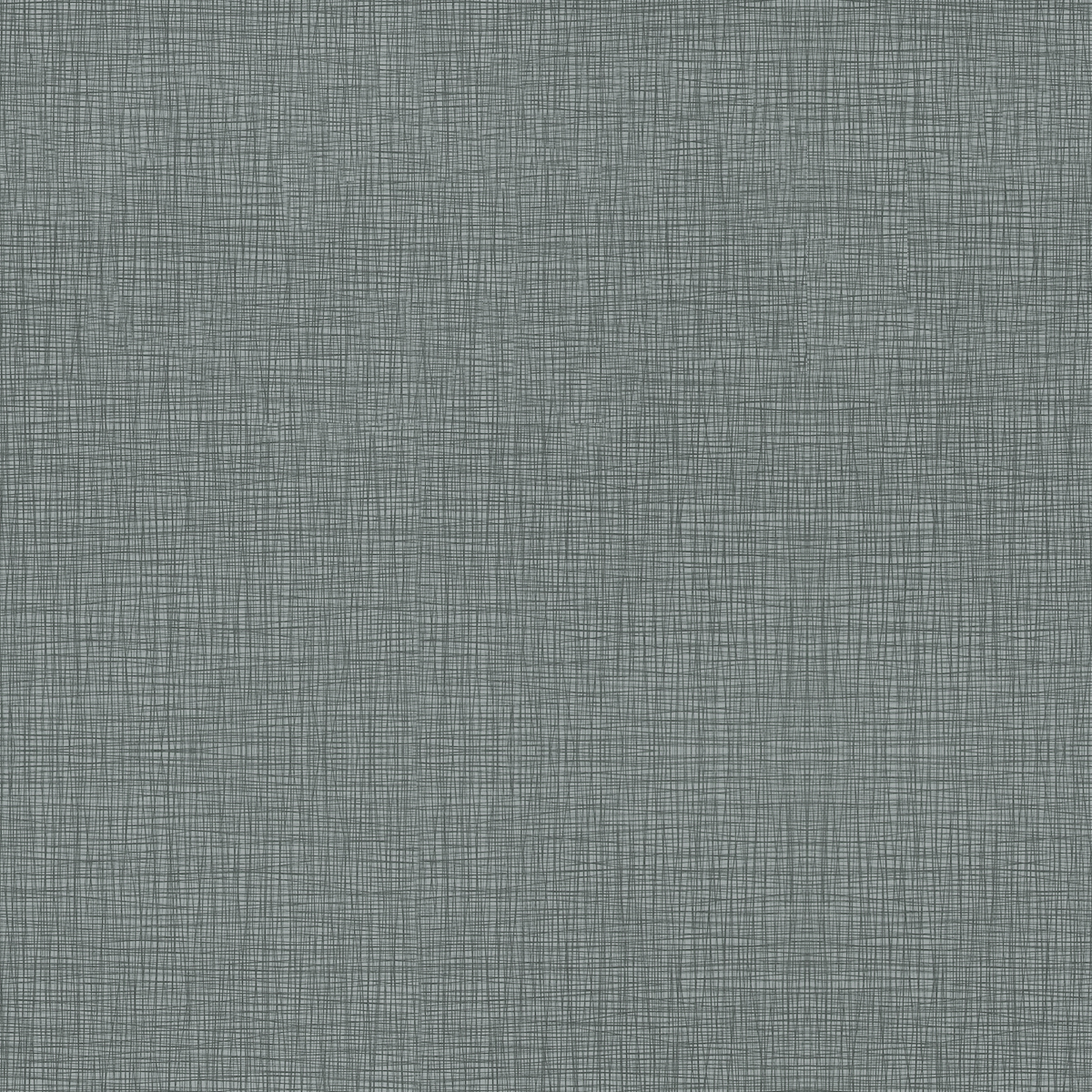 GradeG_Momentum_Silica Stride_Placid