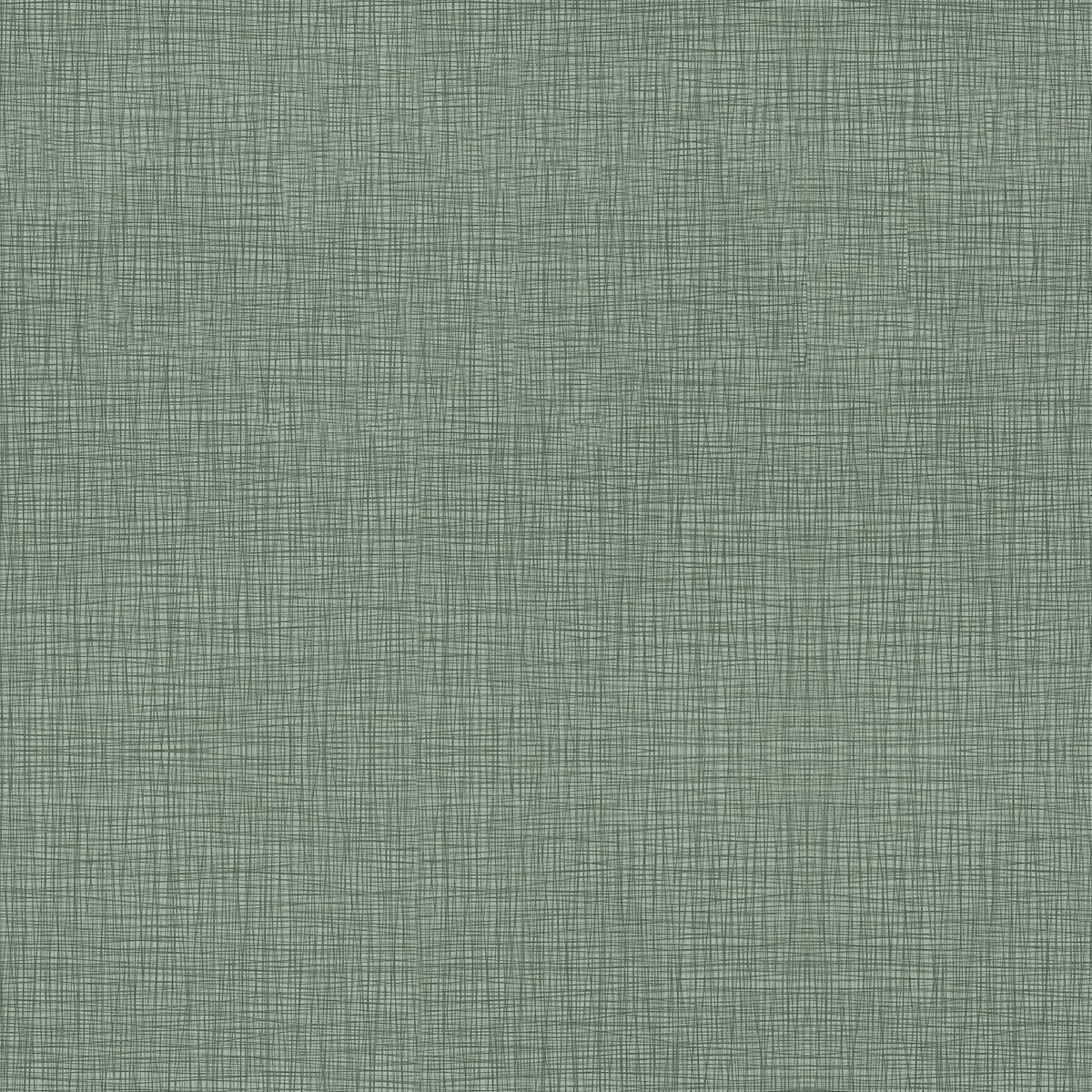 GradeG_Momentum_Silica Stride_Tidal