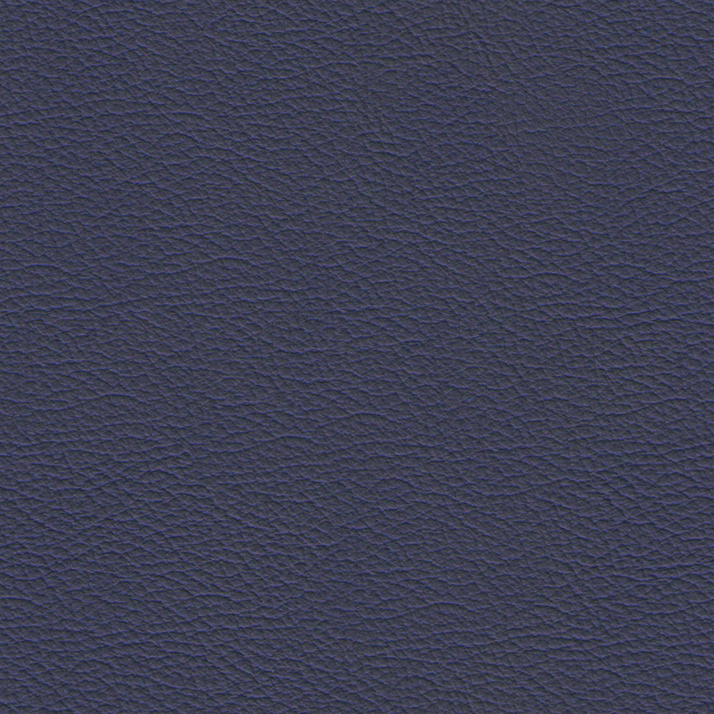 Leather_L4Sierrra_Baltic