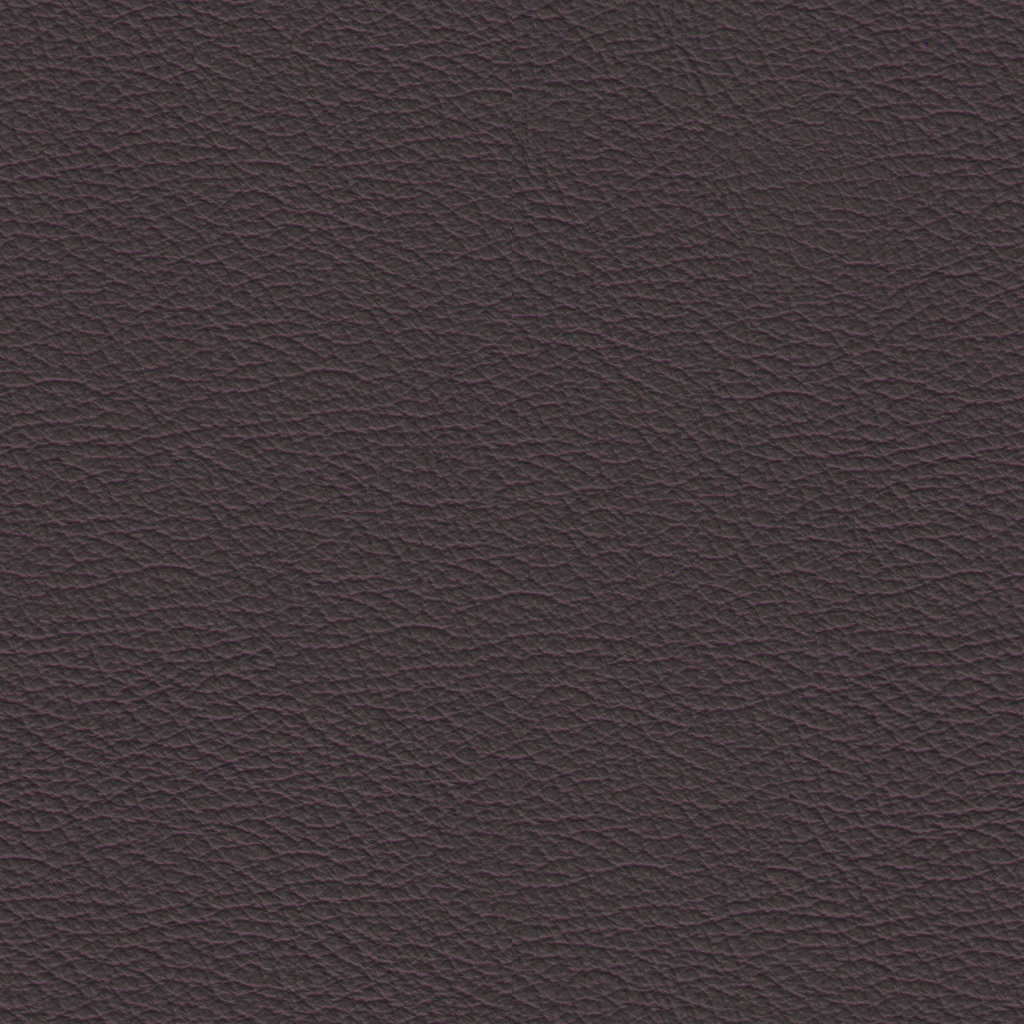 Leather_L4Sierrra_Cafe