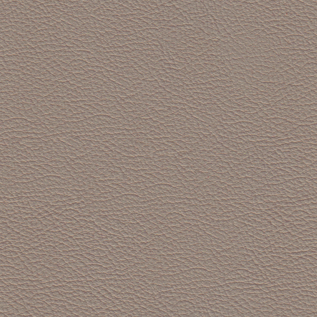 Leather_L4Sierrra_Mushroom