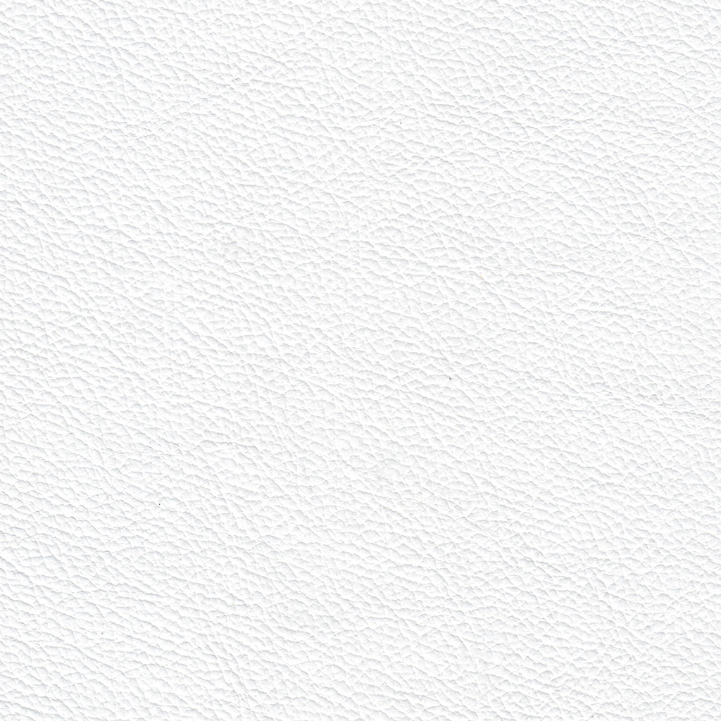 Leather_L4Sierrra_White