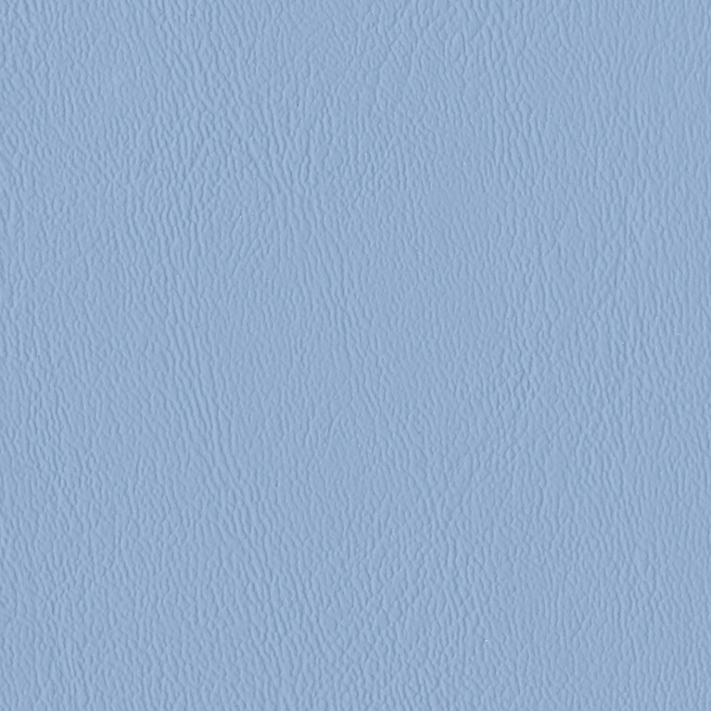 Nautilus_Ace_Bluebell