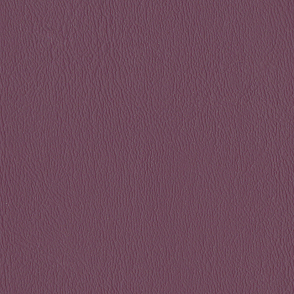 Nautilus_Ace_Boysenberry