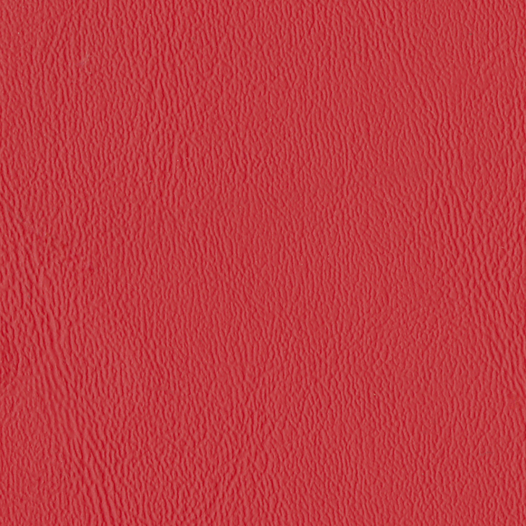 Nautilus_Ace_Flamenco