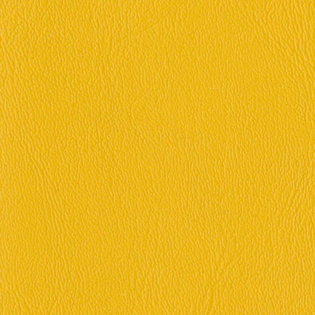 Nautilus_Ace_Marigold