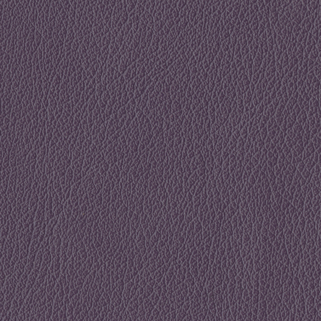 Nautilus_Delta_Grape