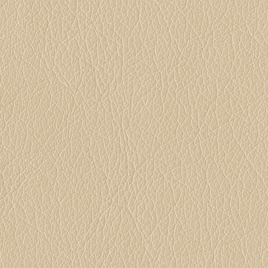 Nautilus_Delta_Ridge