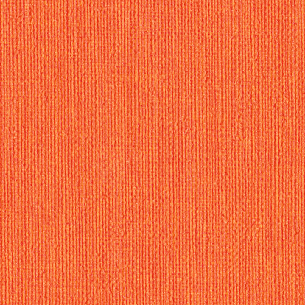 Nautilus_Hemingway_Hibiscus