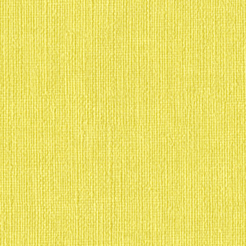 Nautilus_Hemingway_Parakeet