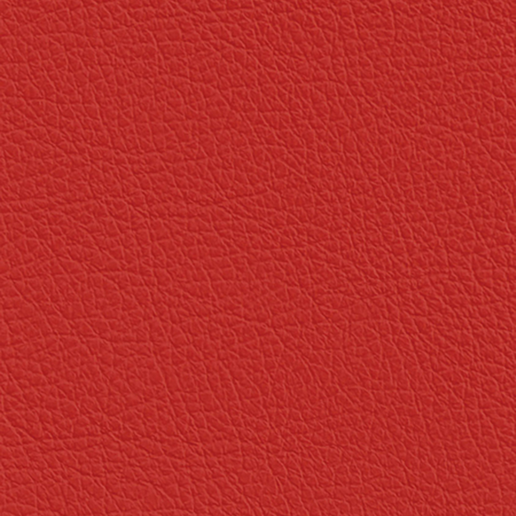 Nautilus_Pauly_Lipstick