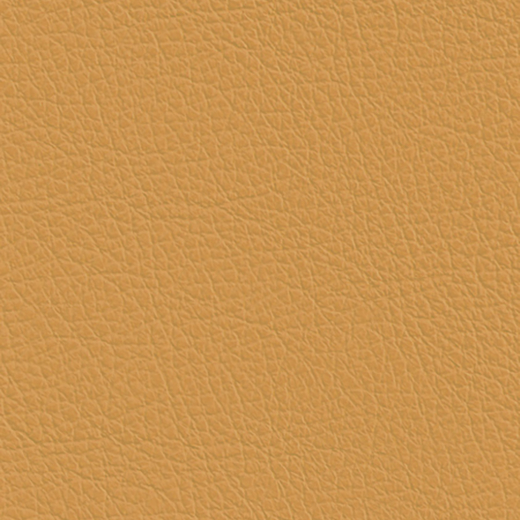 Nautilus_Pauly_Straw