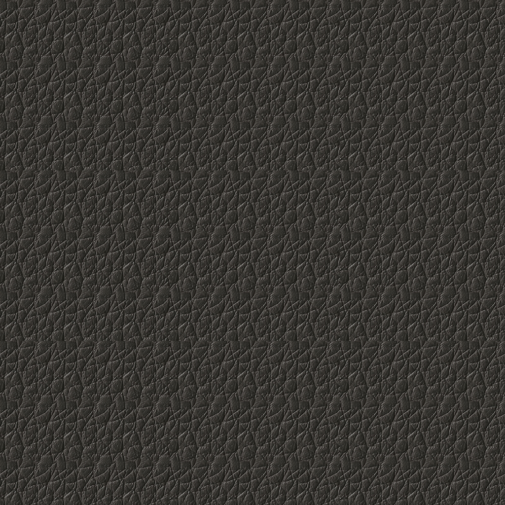 Nautilus_Pauly_Thunder