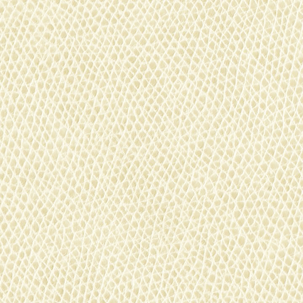 Nautilus_Promenade_Chamois