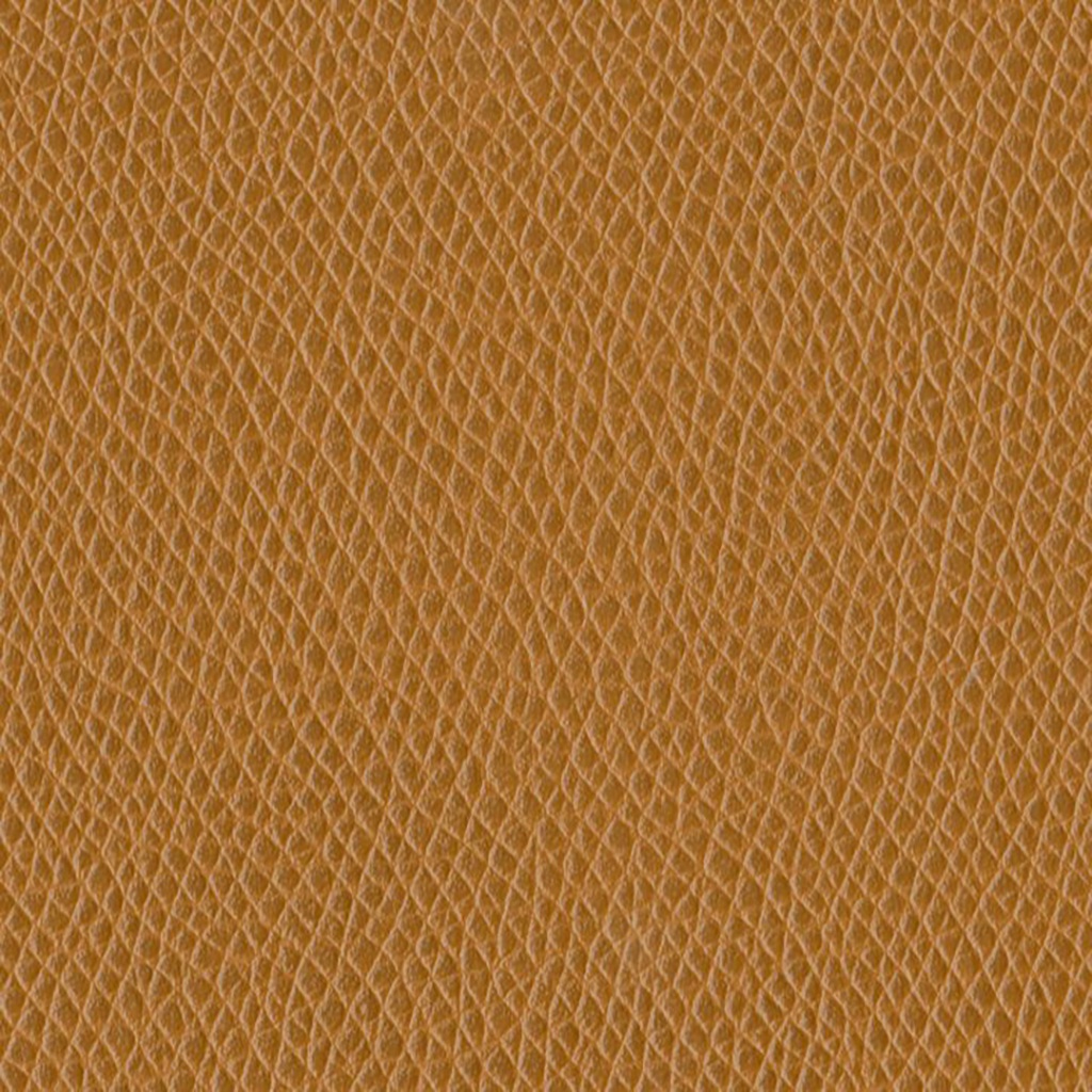 Nautilus_Promenade_Copper