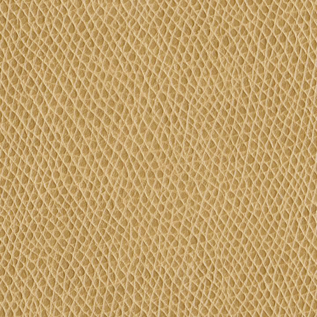 Nautilus_Promenade_Fawn