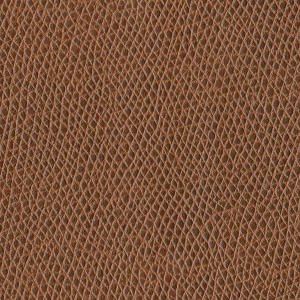 Nautilus_Promenade_Fiddle