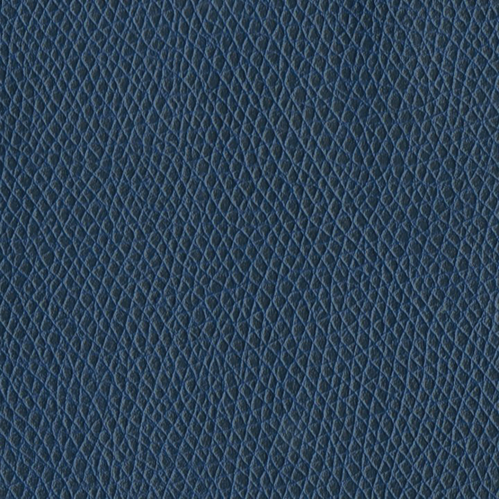 Nautilus_Promenade_Mood_Indigo