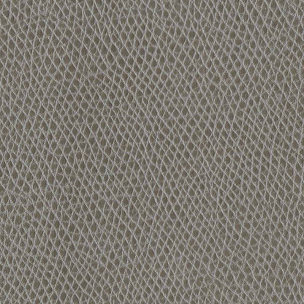 Nautilus_Promenade_Rhino