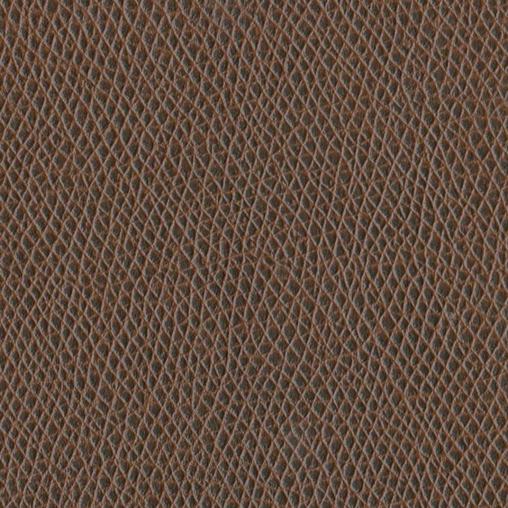 Nautilus_Promenade_Umber