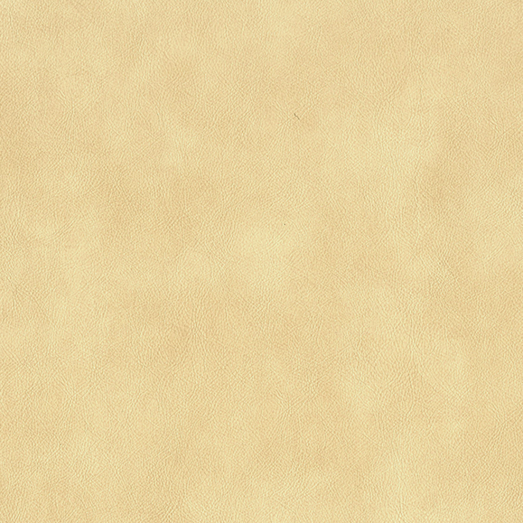 Nautilus_Vintner_Antique