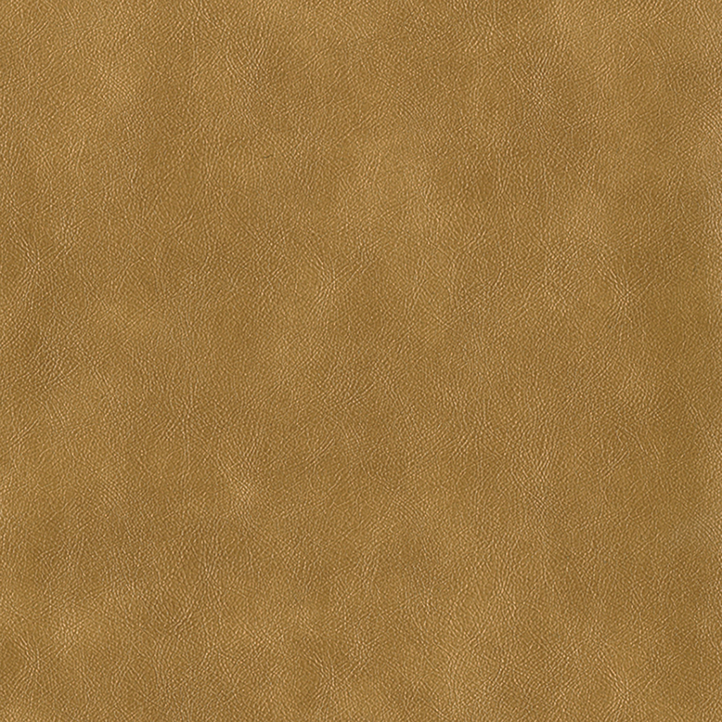 Nautilus_Vintner_Bradford