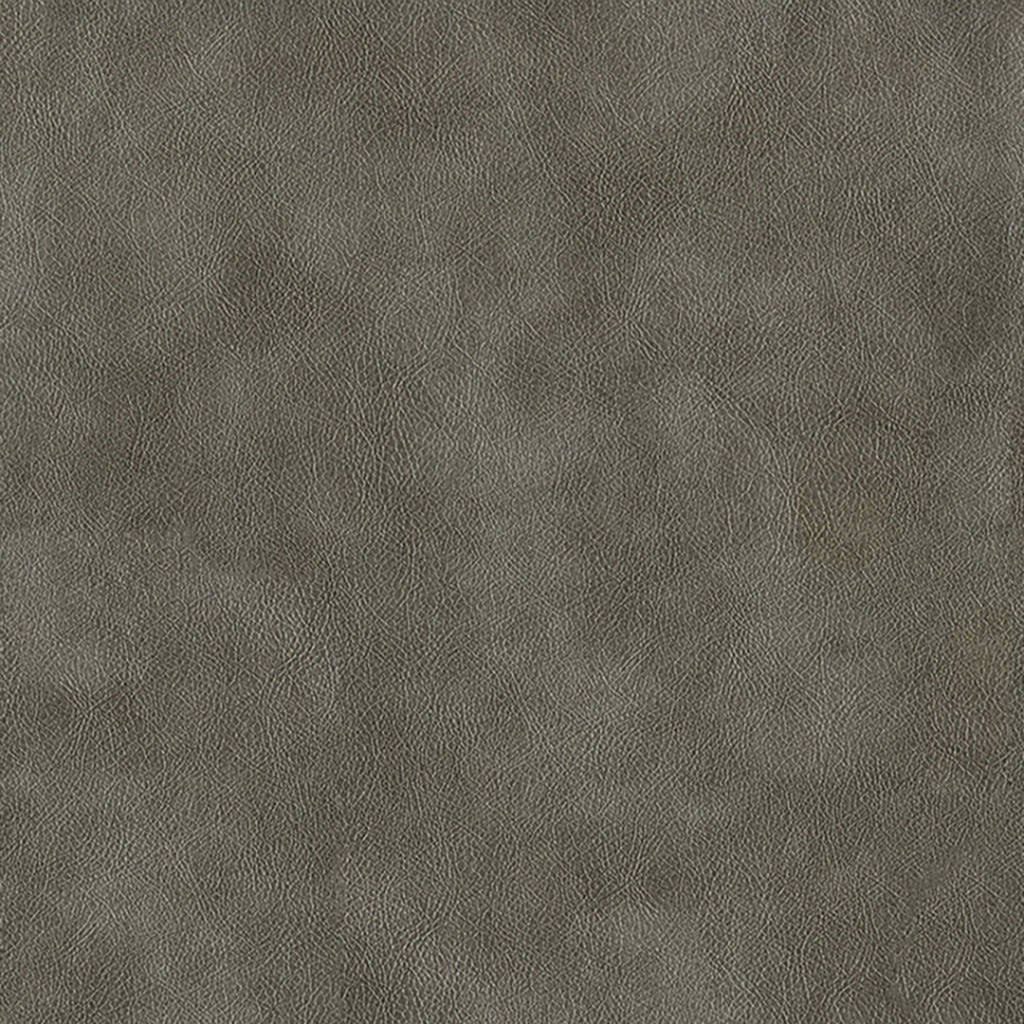 Nautilus_Vintner_Dakota