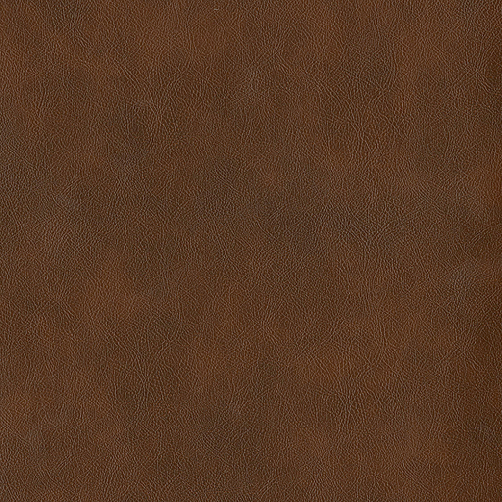 Nautilus_Vintner_Derby