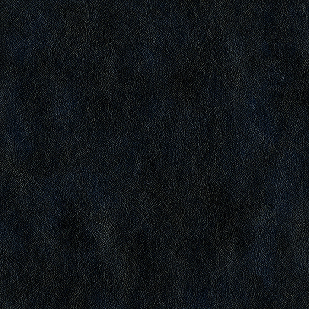 Nautilus_Vintner_Providence