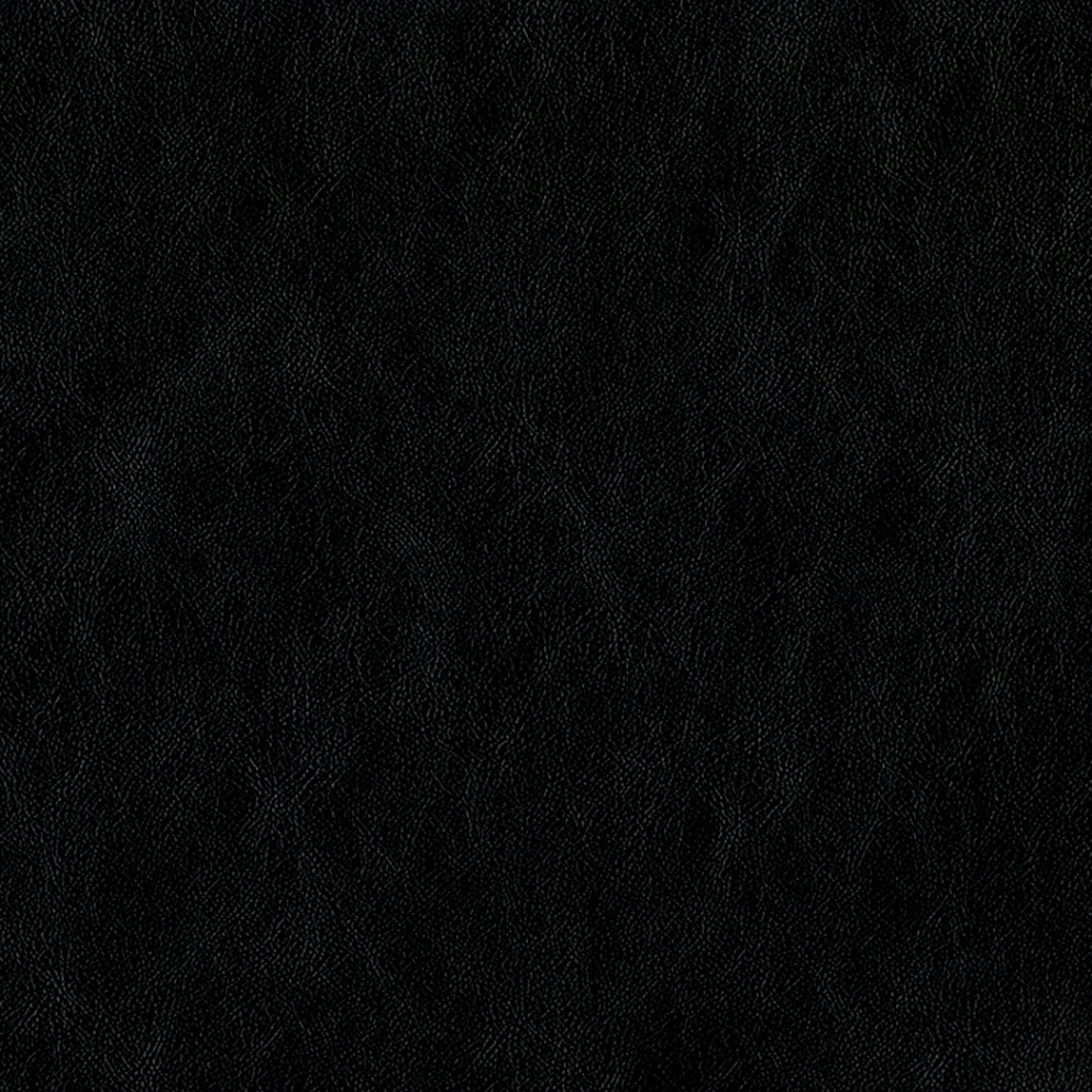 Nautilus_Vintner_Raven