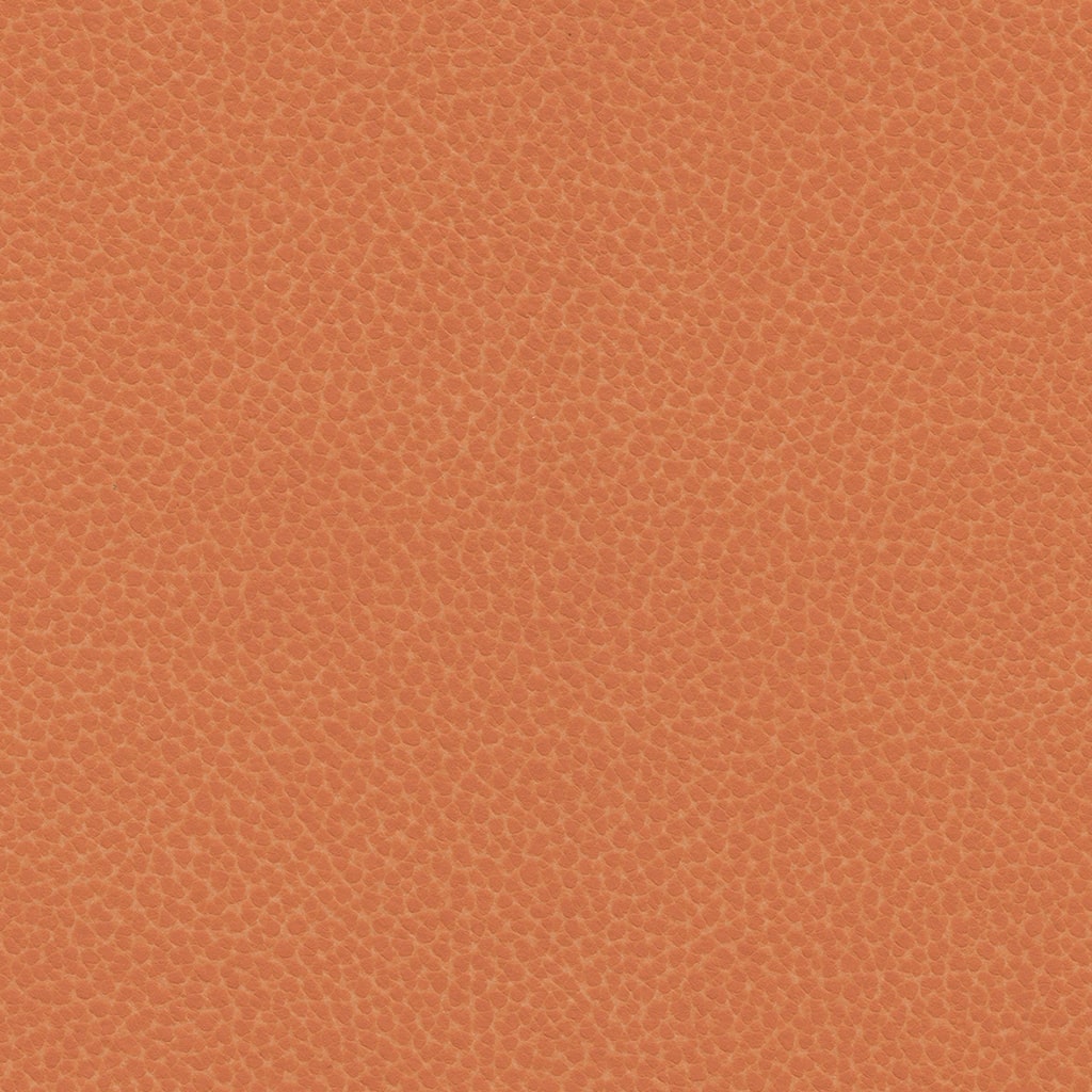 ReefPro 1415 Clownfish-min