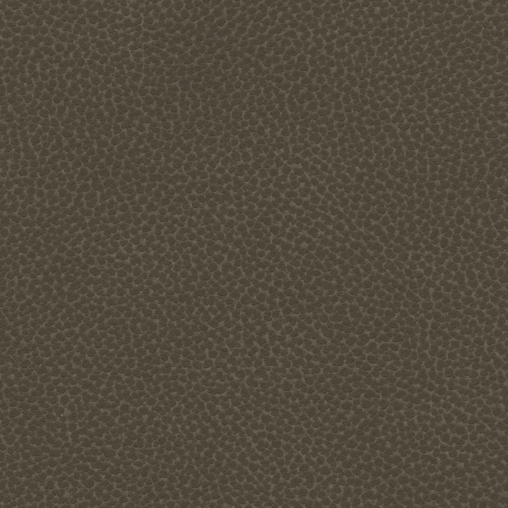 ReefPro 3536 Lionfish-min