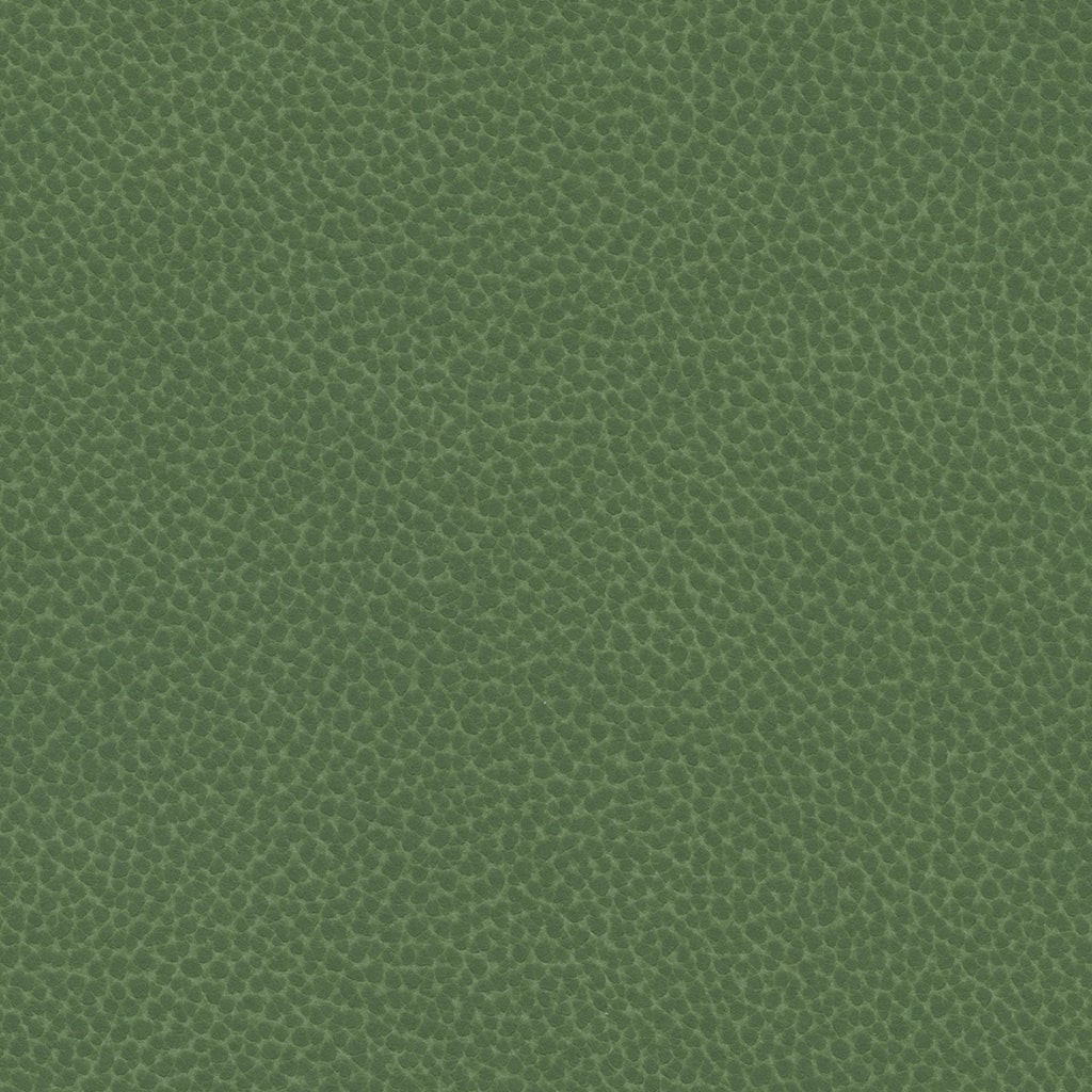 ReefPro 4392 Algae-min