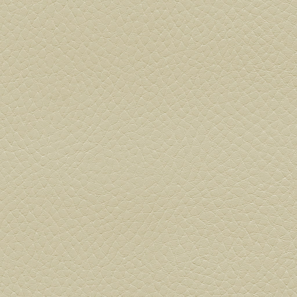 Tottori 601-3120 Udon